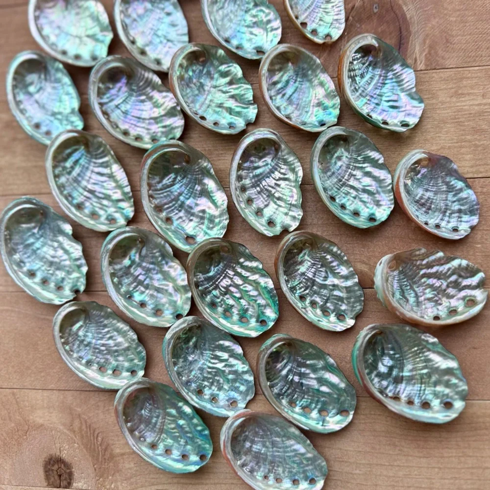 Real ABALONE Shells Polished Nautical DIY Crafting Decor Coastal Mixed Bulk lot